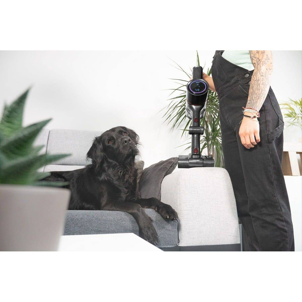 Aspirador Escoba Concept VP6250 500 W