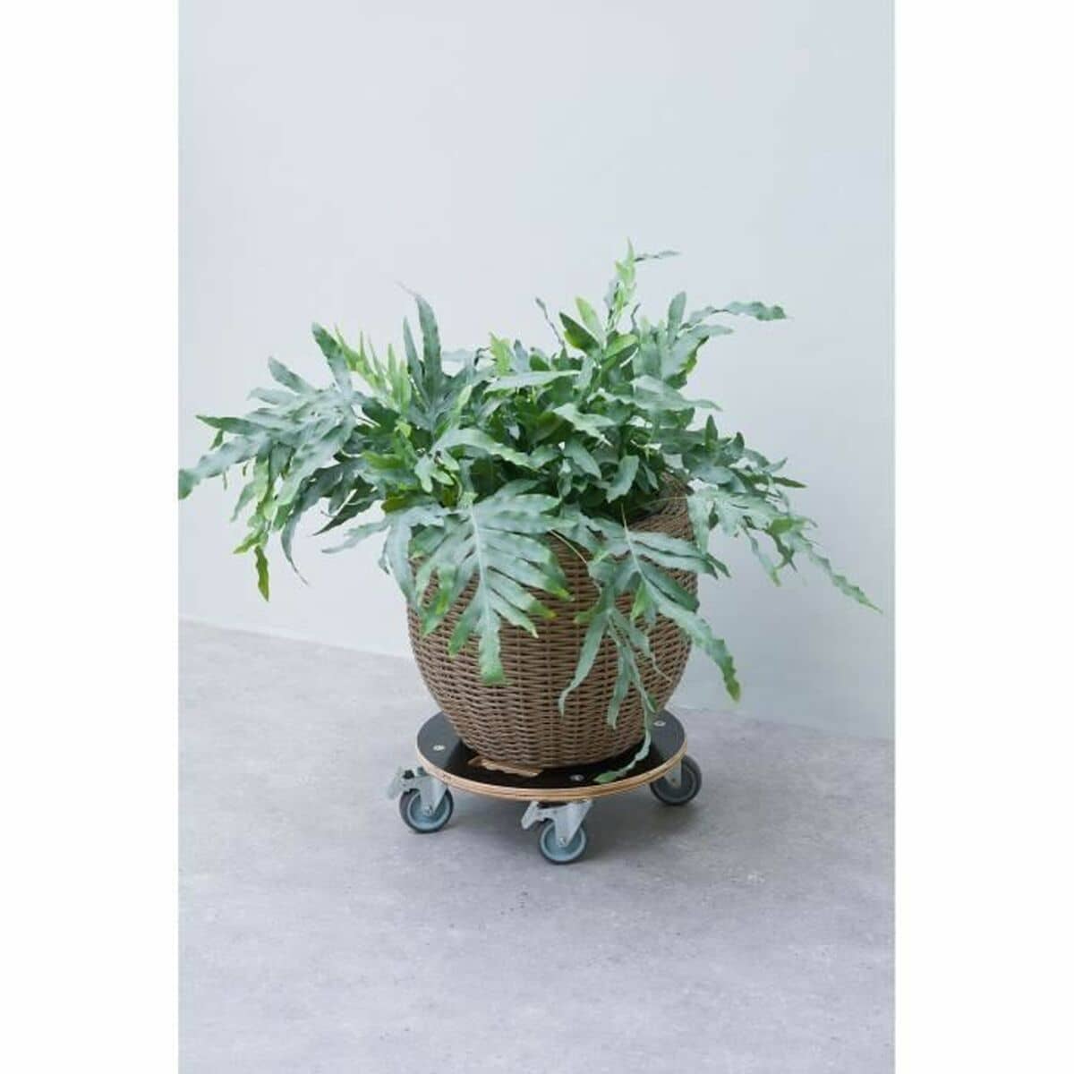 Soporte con Ruedas para Macetas Nature Madera Ø 38 cm