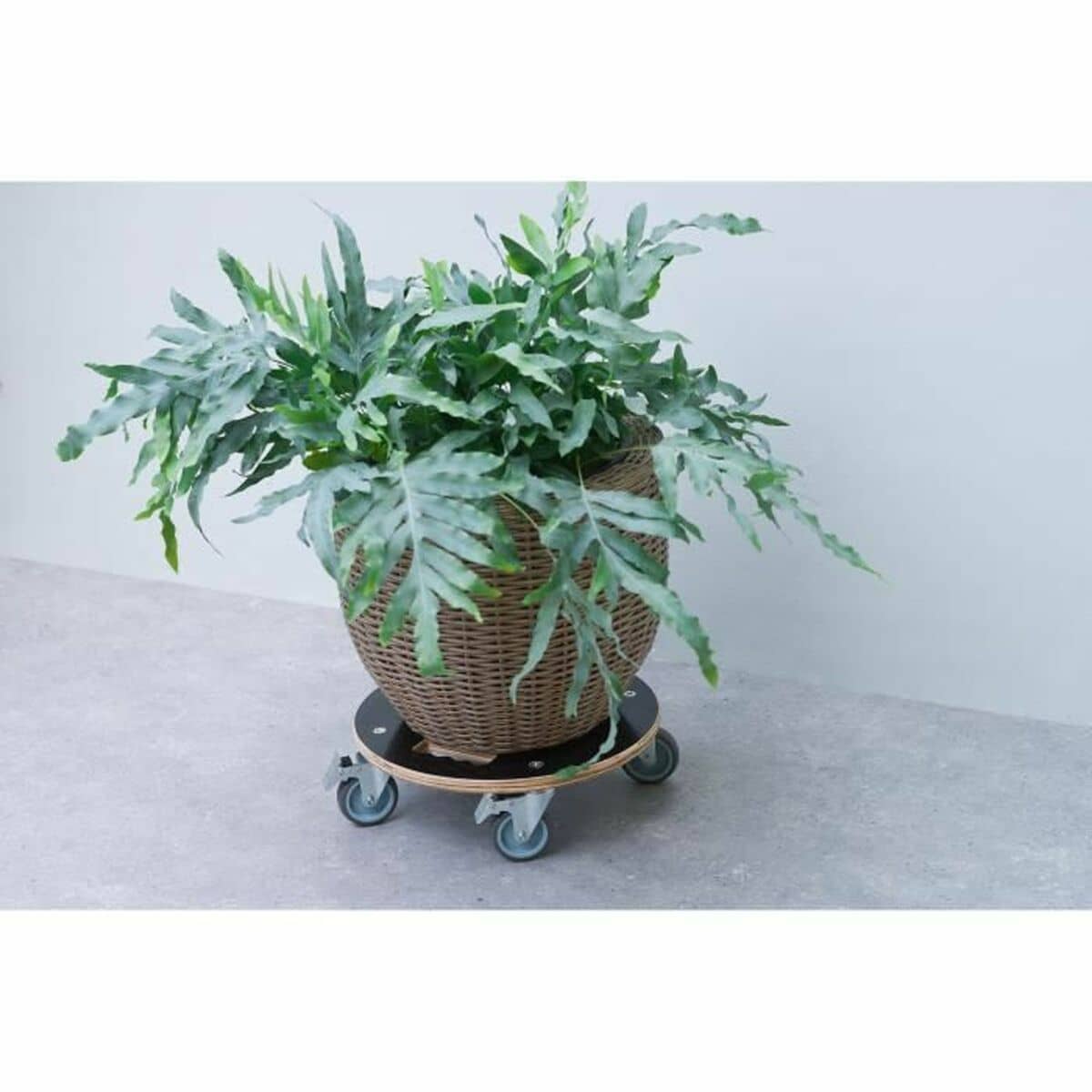 Soporte con Ruedas para Macetas Nature Madera Ø 38 cm