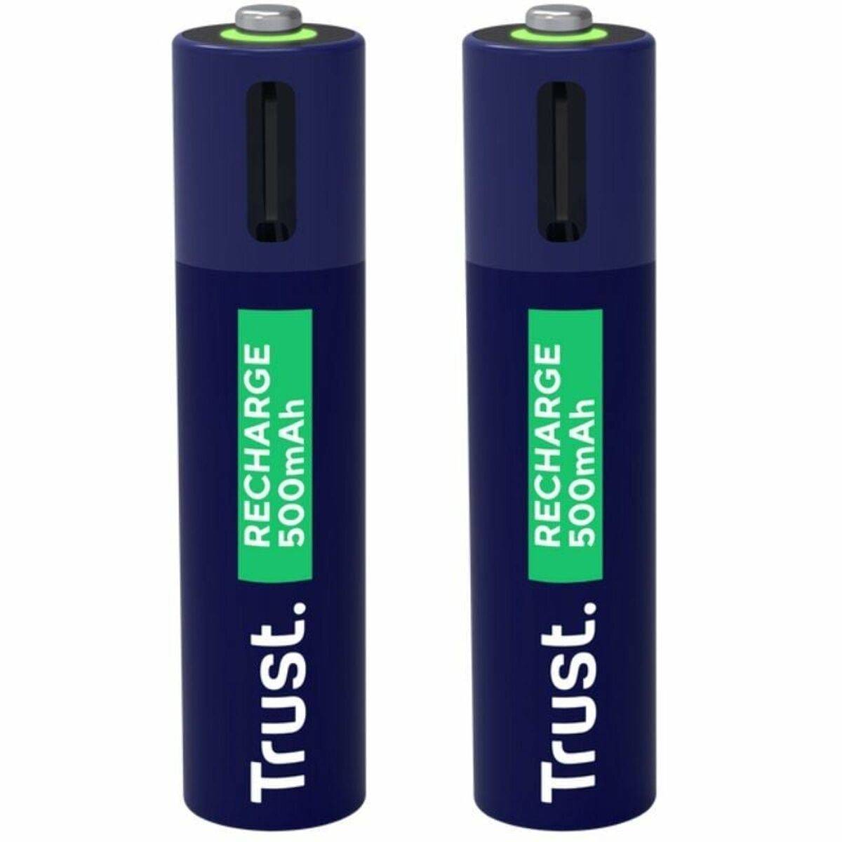 Pilas Trust 25585 AAA