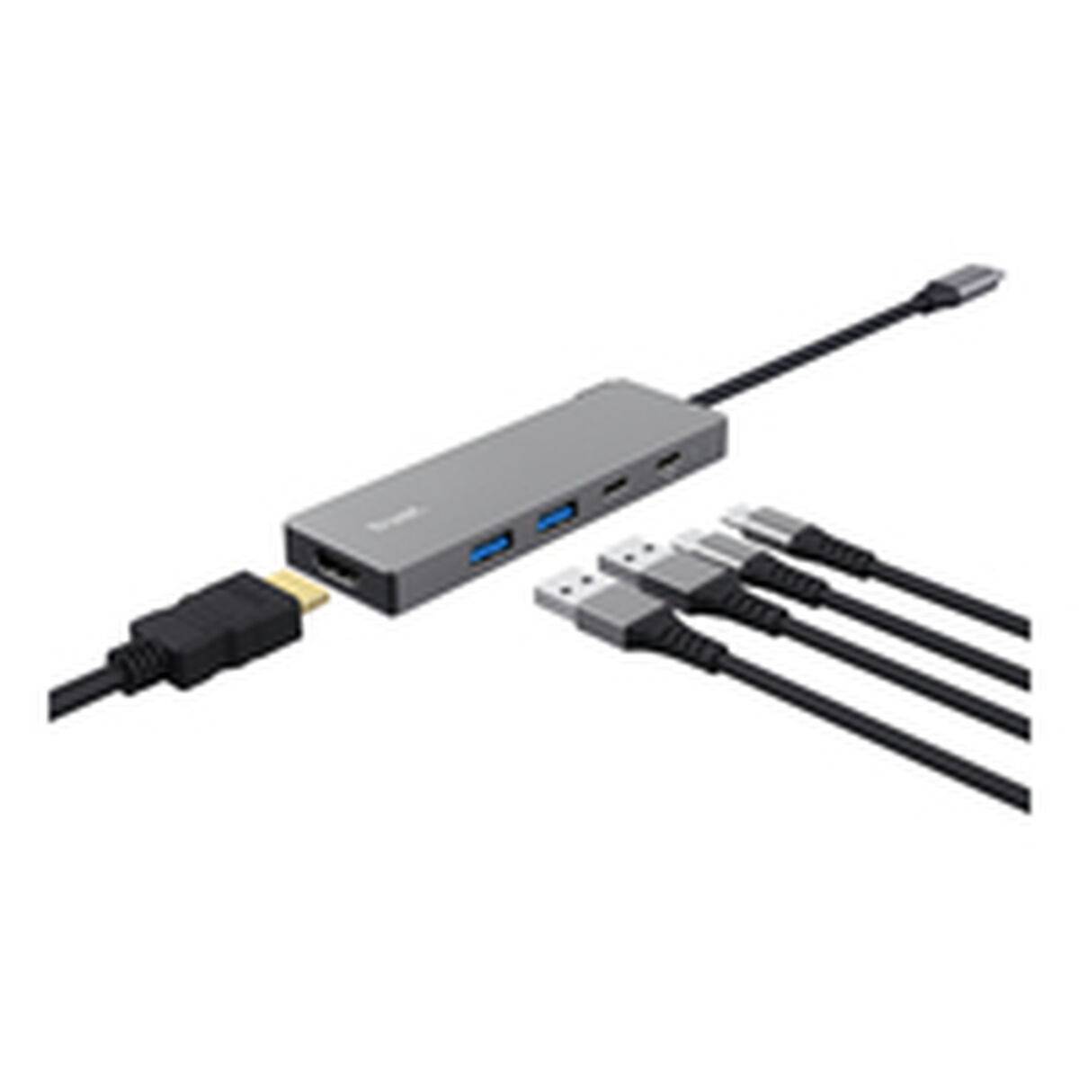 Hub USB Trust 26062 Gris