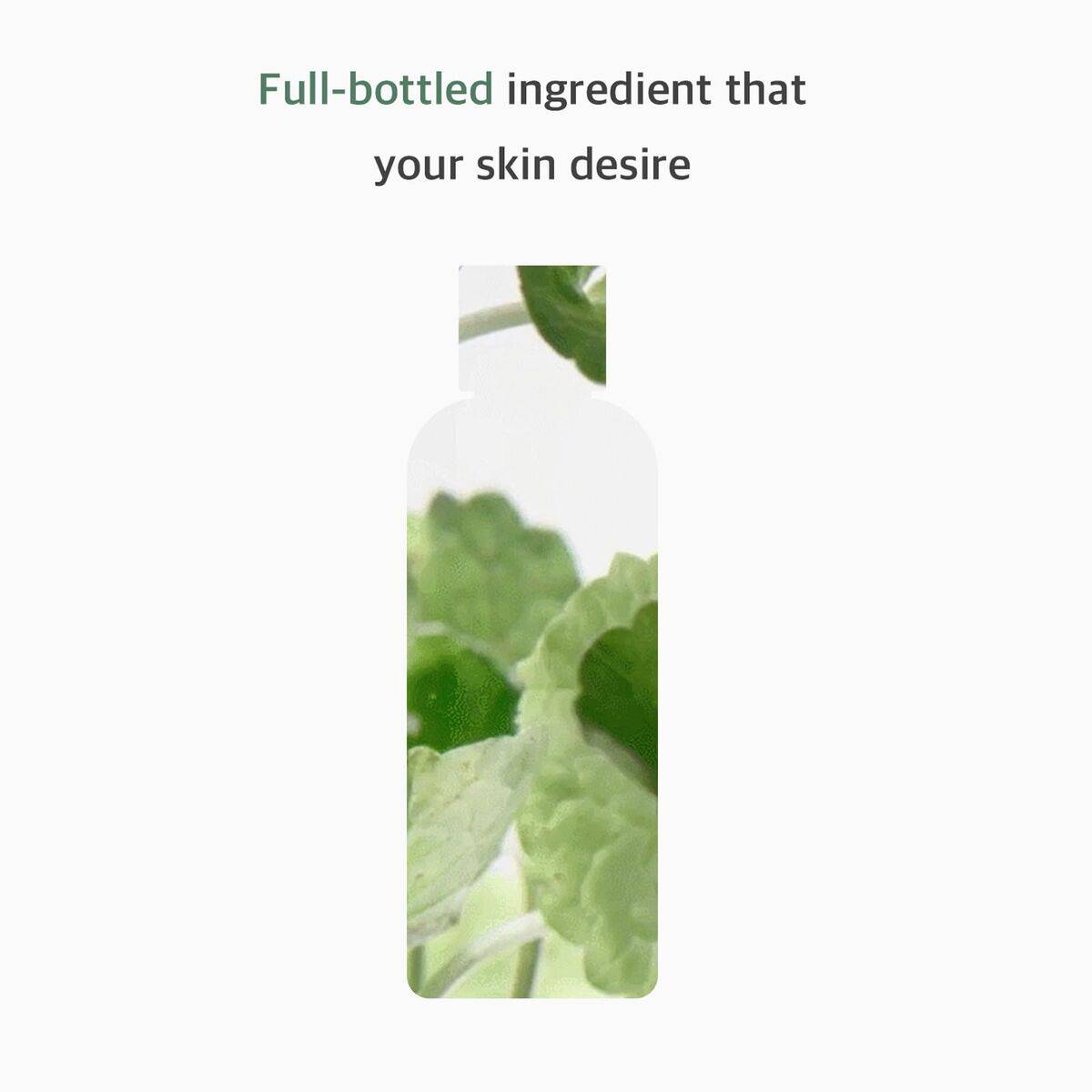 Tónico Limpiador Revitalizante Mixsoon CENTELLA 300 ml