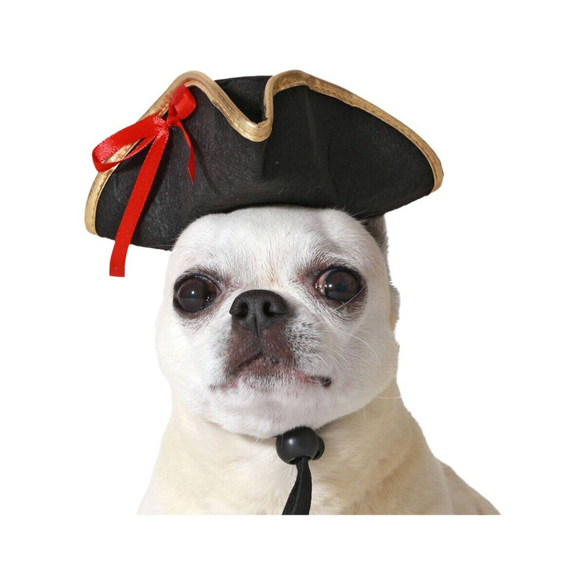 Disfraz para Perro Negro Gorro