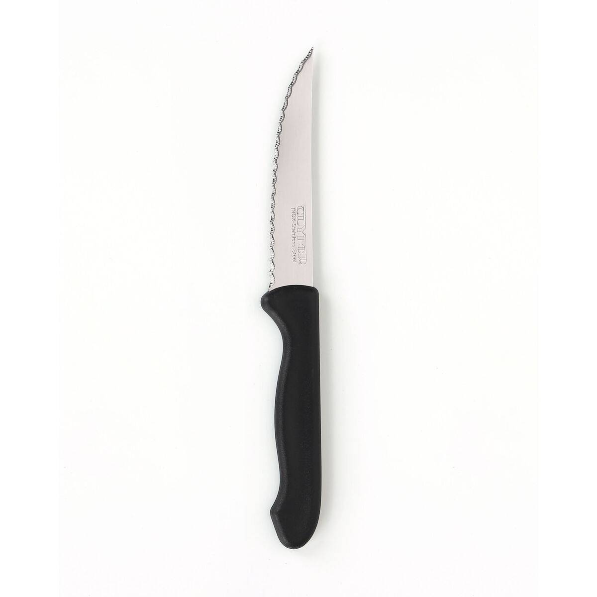 Set de Cuchillos Cuyfor Negro Plateado Acero Inoxidable Polipropileno 6 Piezas (24 Unidades)