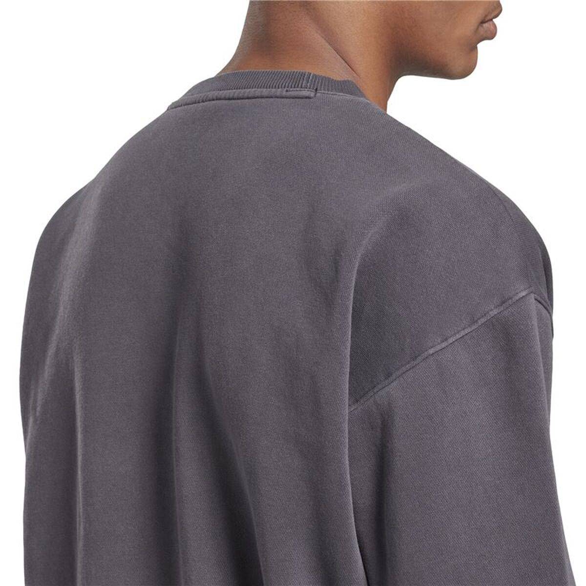 Sudadera sin Capucha Hombre Reebok Classics Premium Gris claro
