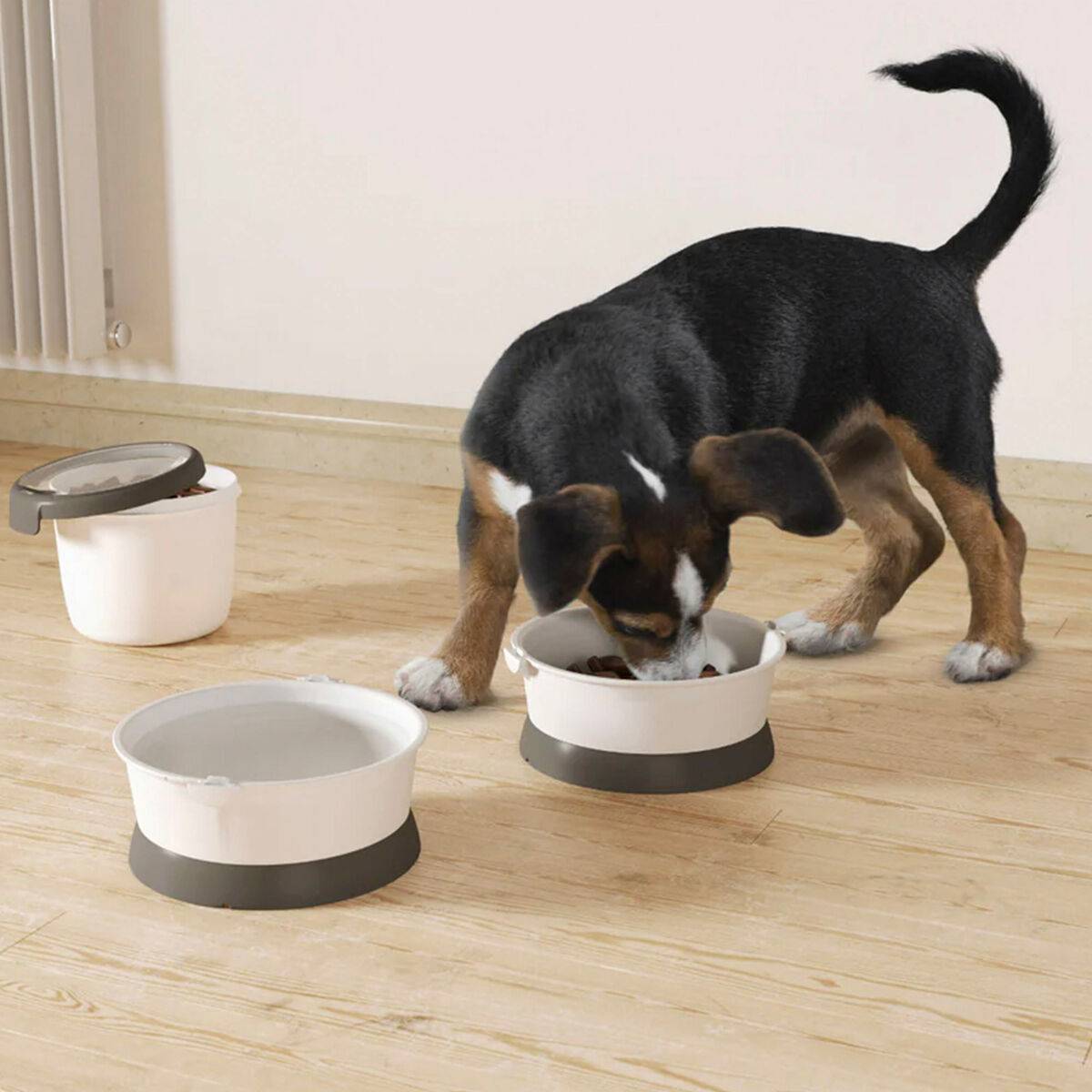 Comedero Plegable para Mascotas Curver Plástico 19 x 8 x 18 cm (6 Unidades)