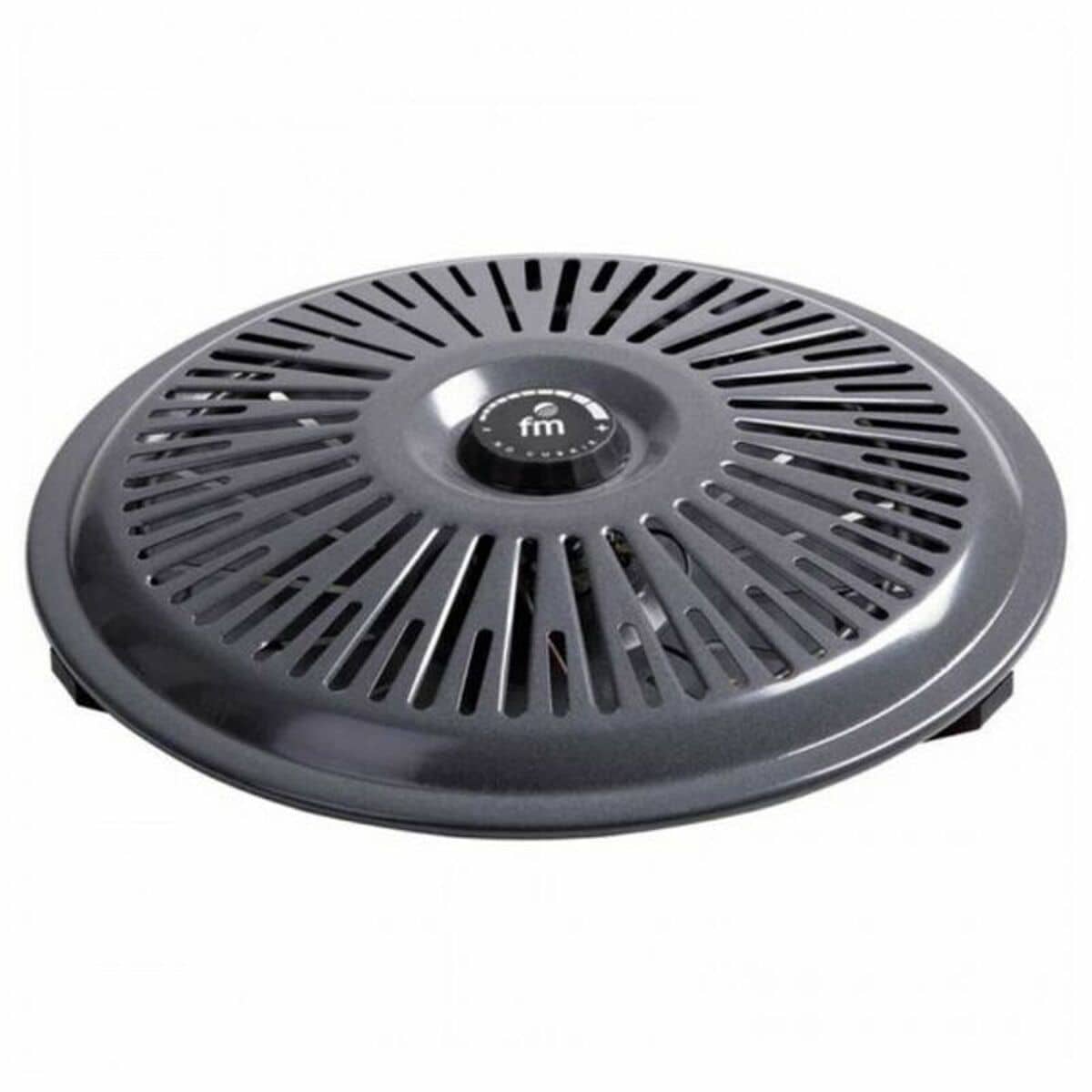 Brasero Grupo FM B-750 700W Gris 700 W 1
