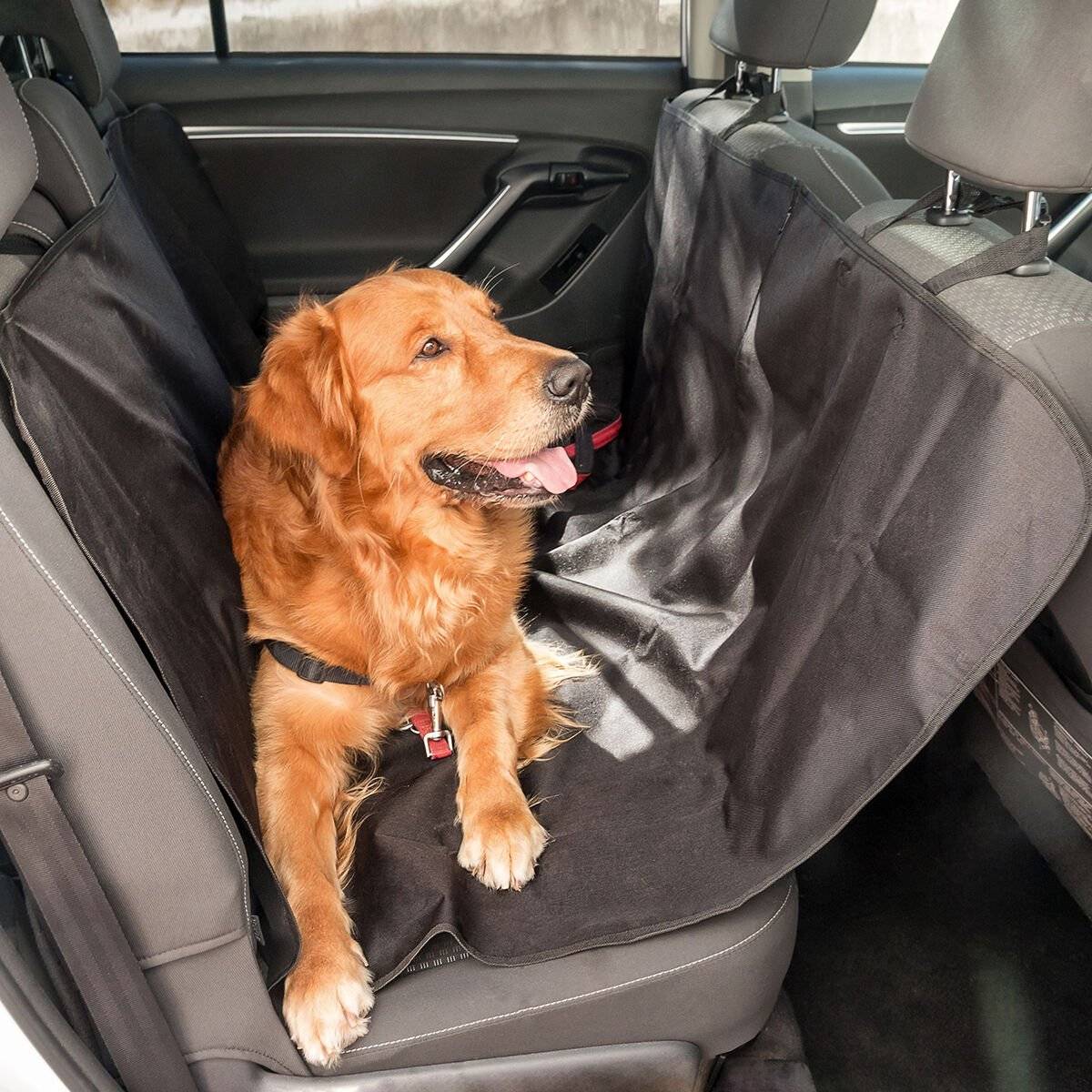 Funda Protectora de Coche para Mascotas Petchez InnovaGoods 1