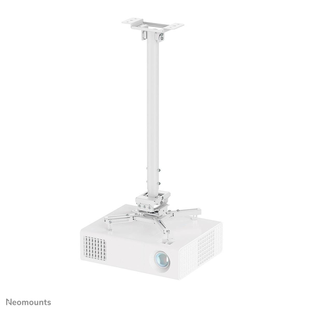 Soporte de Mesa para Pantalla Neomounts CL25-550WH1 1