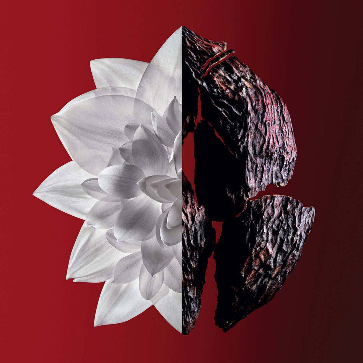 Perfume Mujer Givenchy L’INTERDIT ROUGE ULTIME EDP 50 ml 3
