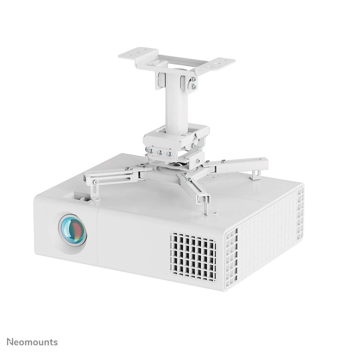Soporte de Mesa para Pantalla Neomounts CL25-530WH1 3