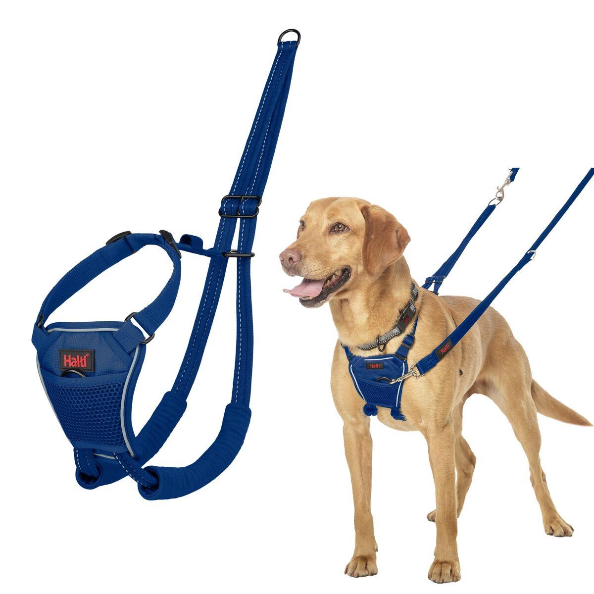 Arnés para Perro Company of Animals COBALT Azul 12
