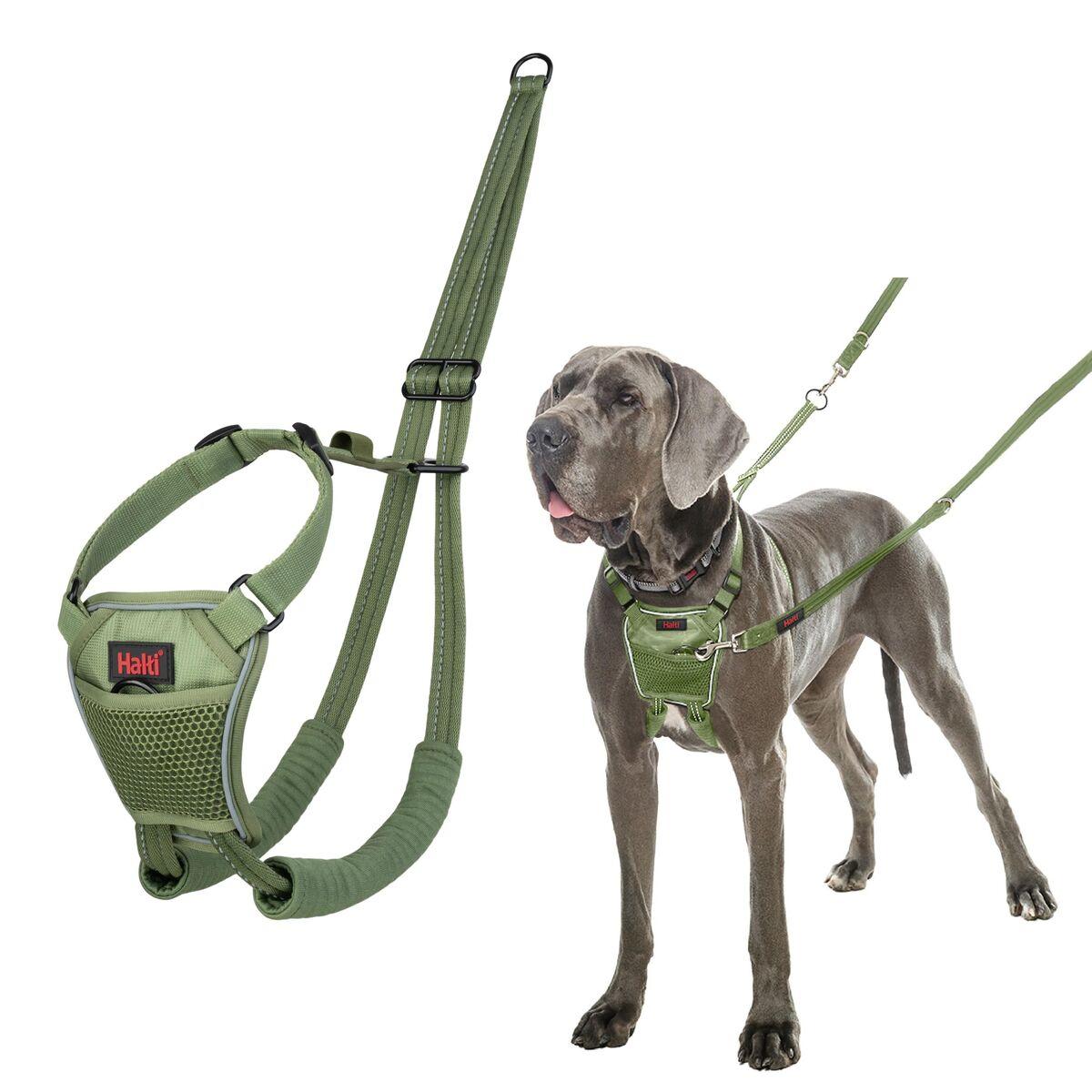 Arnés para Perro Company of Animals FOREST Verde L
