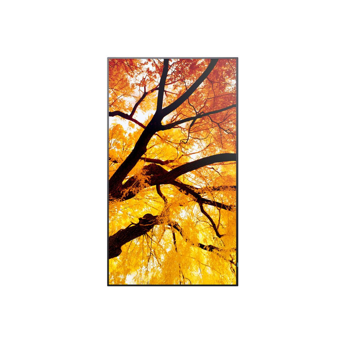Monitor Videowall Sharp 60006053 4K Ultra HD 42,5"