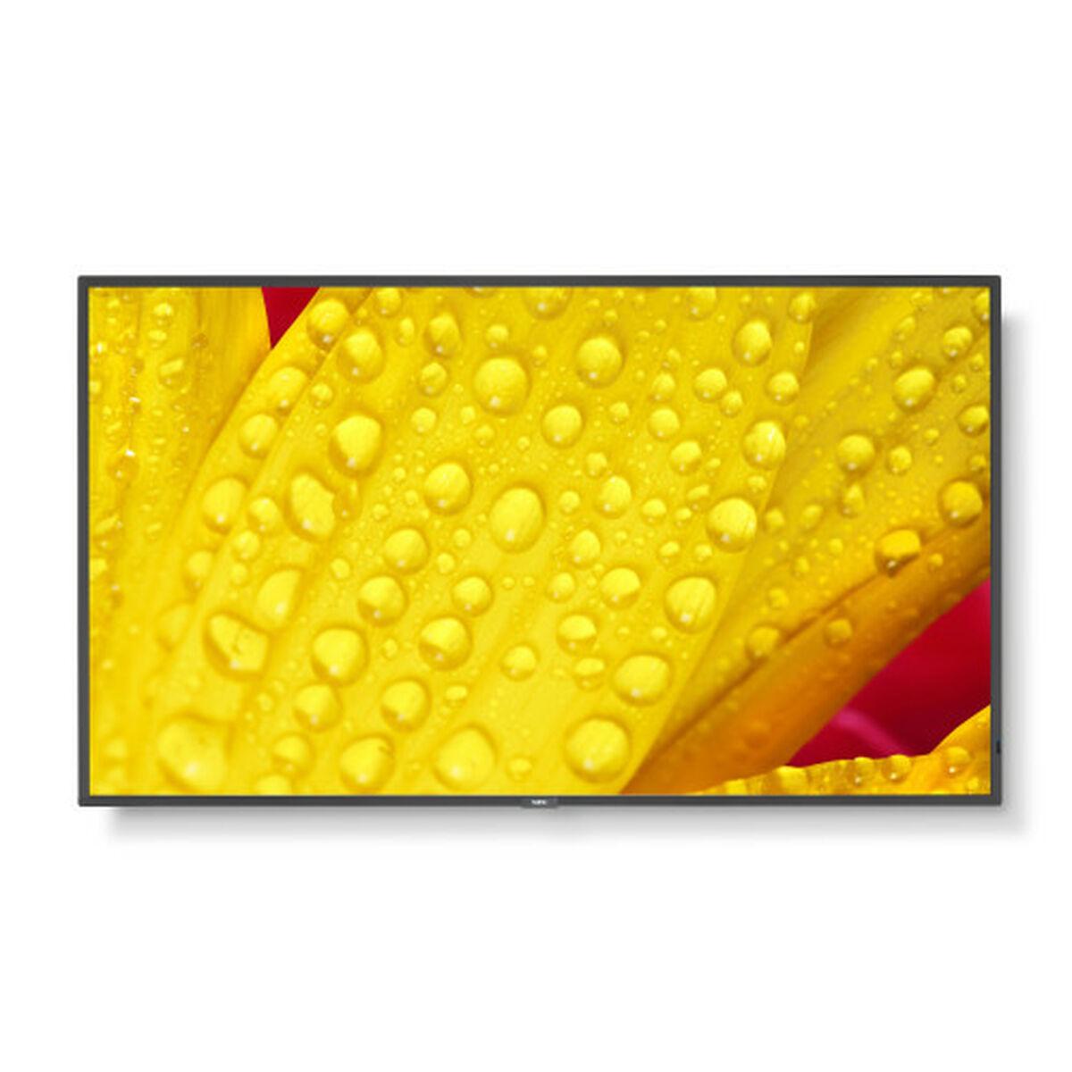 Monitor NEC 60006084 50" 4K Ultra HD