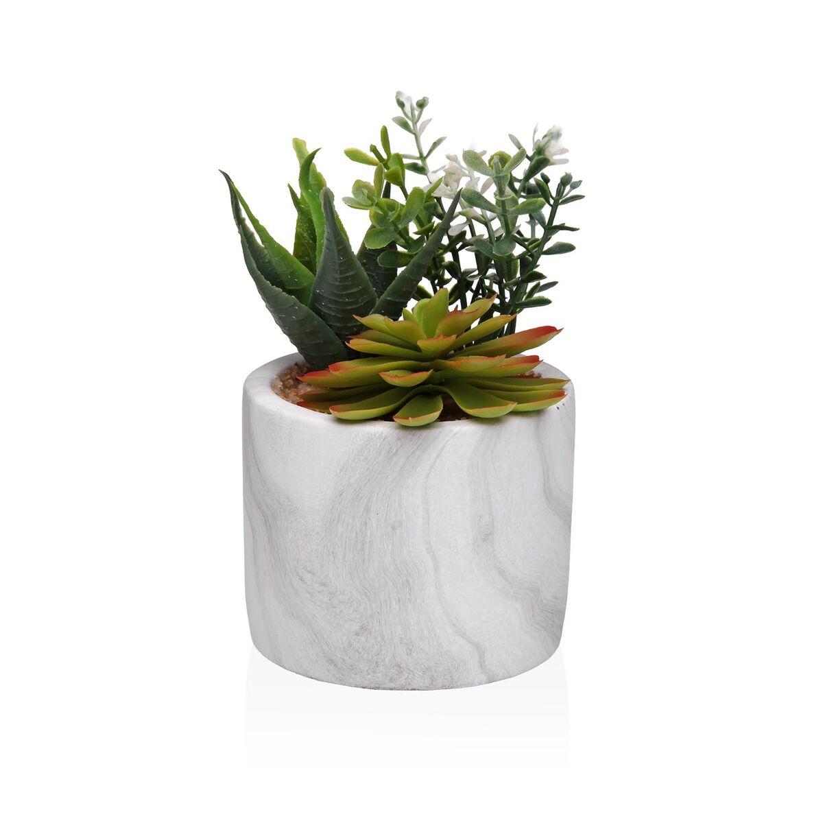 Planta Decorativa Versa Cerámica Plástico Fusion Suculenta 9 x 15 x 9 cm