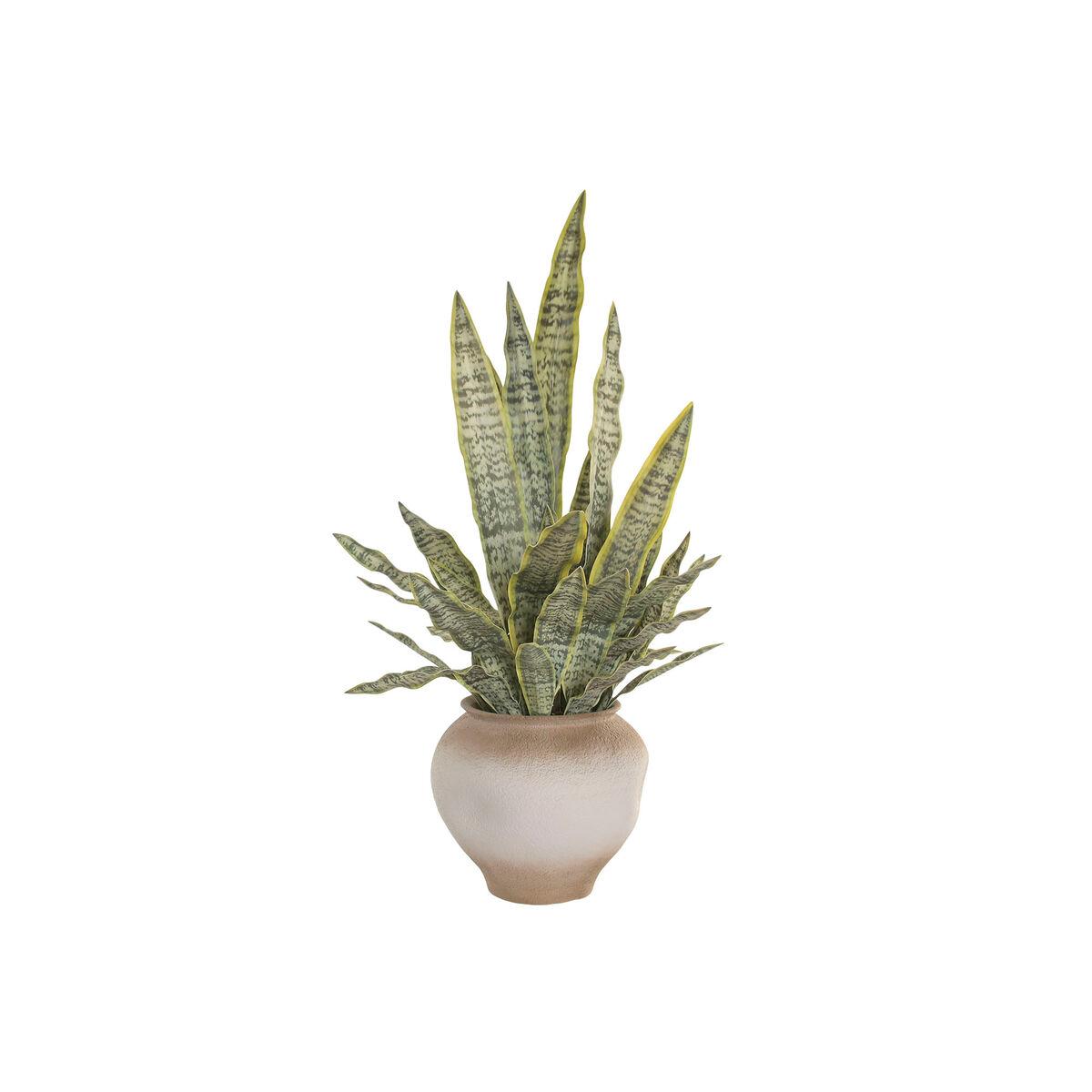 Planta Decorativa Home ESPRIT Polietileno