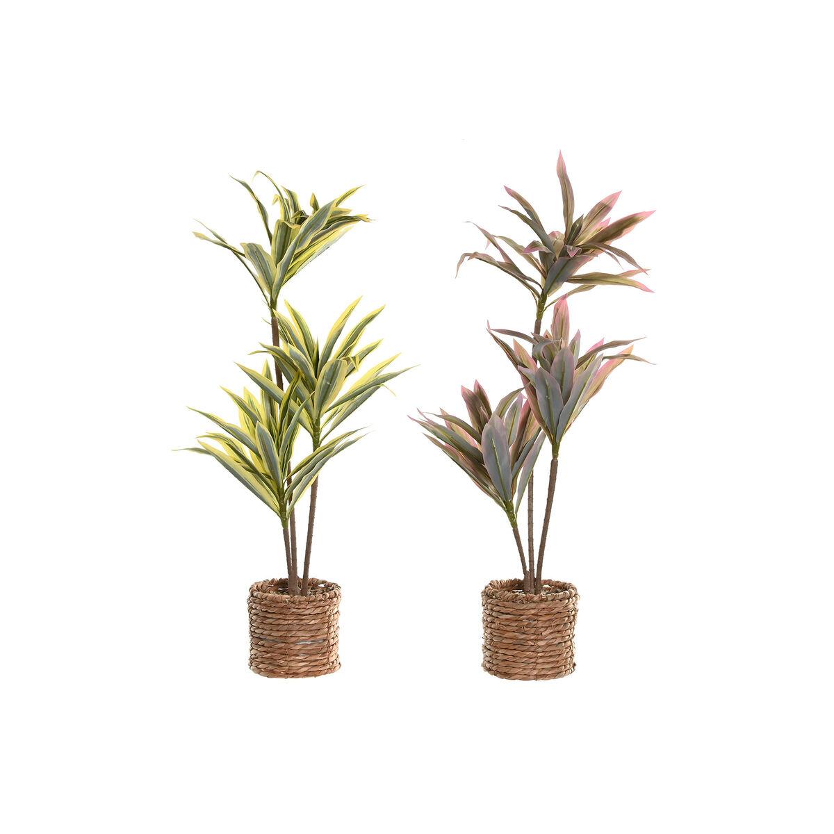 Planta Decorativa Home ESPRIT Polietileno Fibra 30 x 30 x 75 cm (2 Unidades)