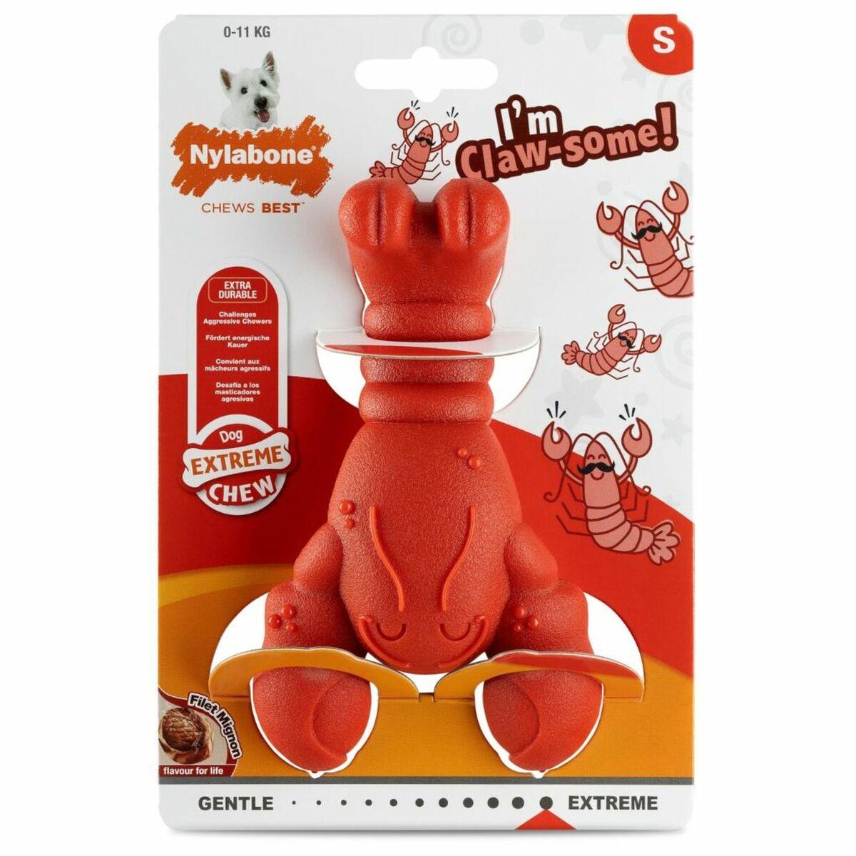 Mordedor de perro Nylabone Rojo Carne de vacuno Artificial S