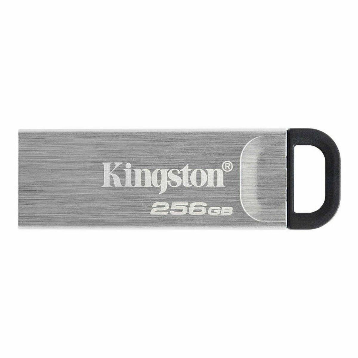 Memoria USB Kingston Negro 256 GB