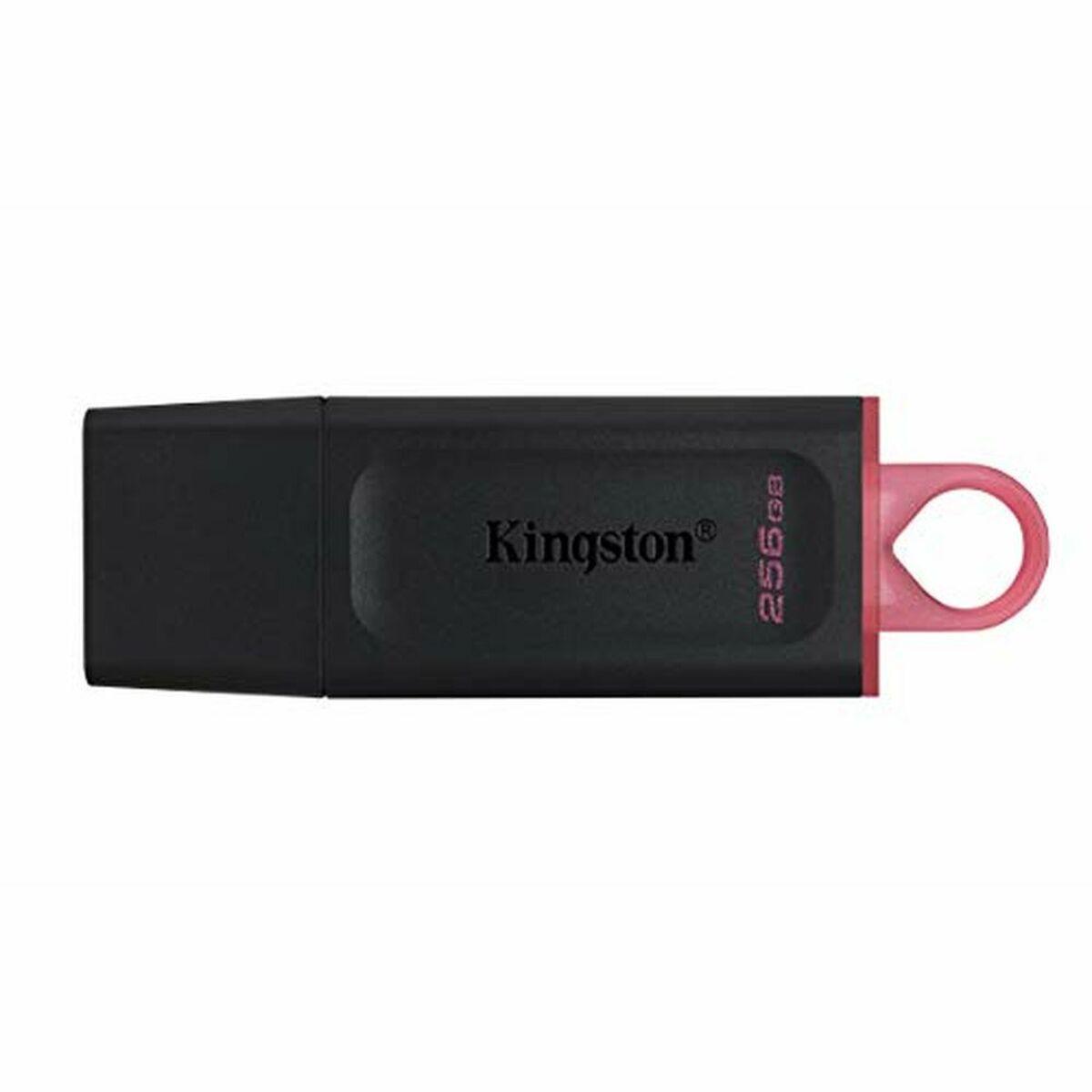 Memoria USB Kingston Exodia Negro Rosa 256 GB