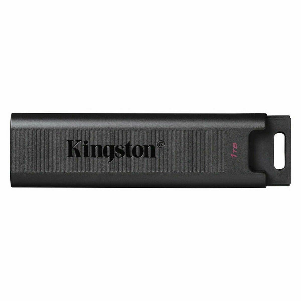 Memoria USB Kingston DTMAX/1TB Negro