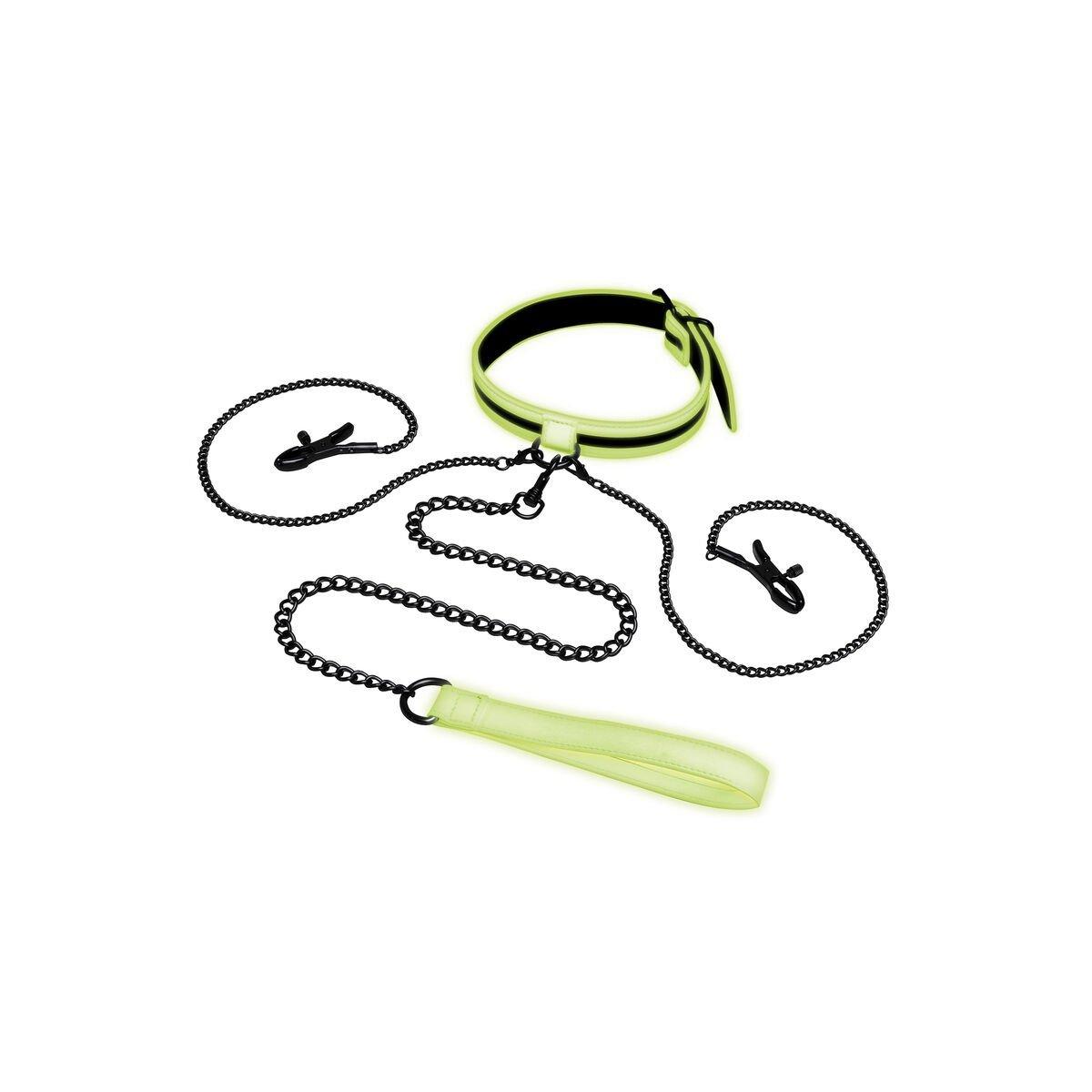 Collar con Correa Whipsmart