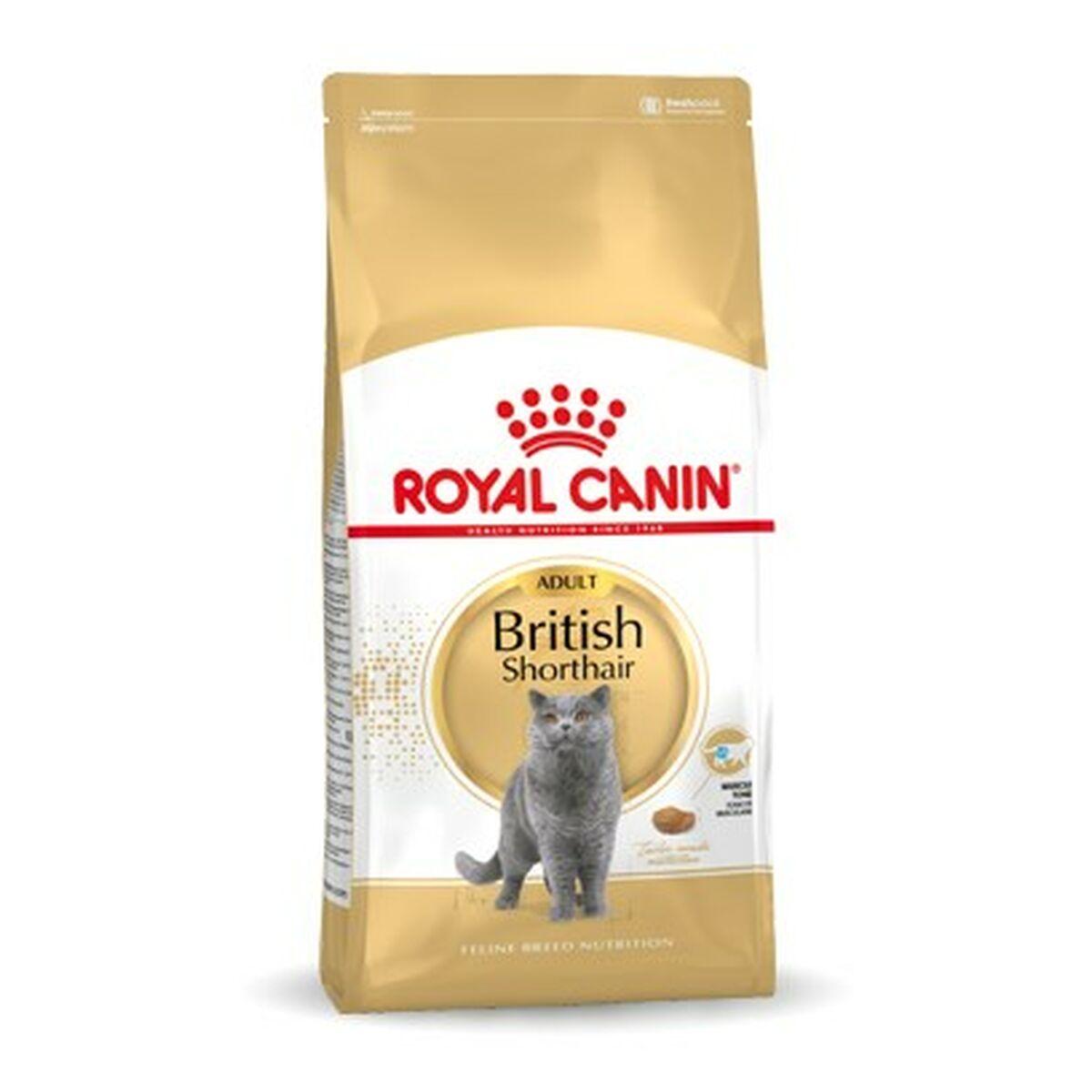 Comida para gato Royal Canin British Shorthair Adult Adulto Pollo 4 Kg