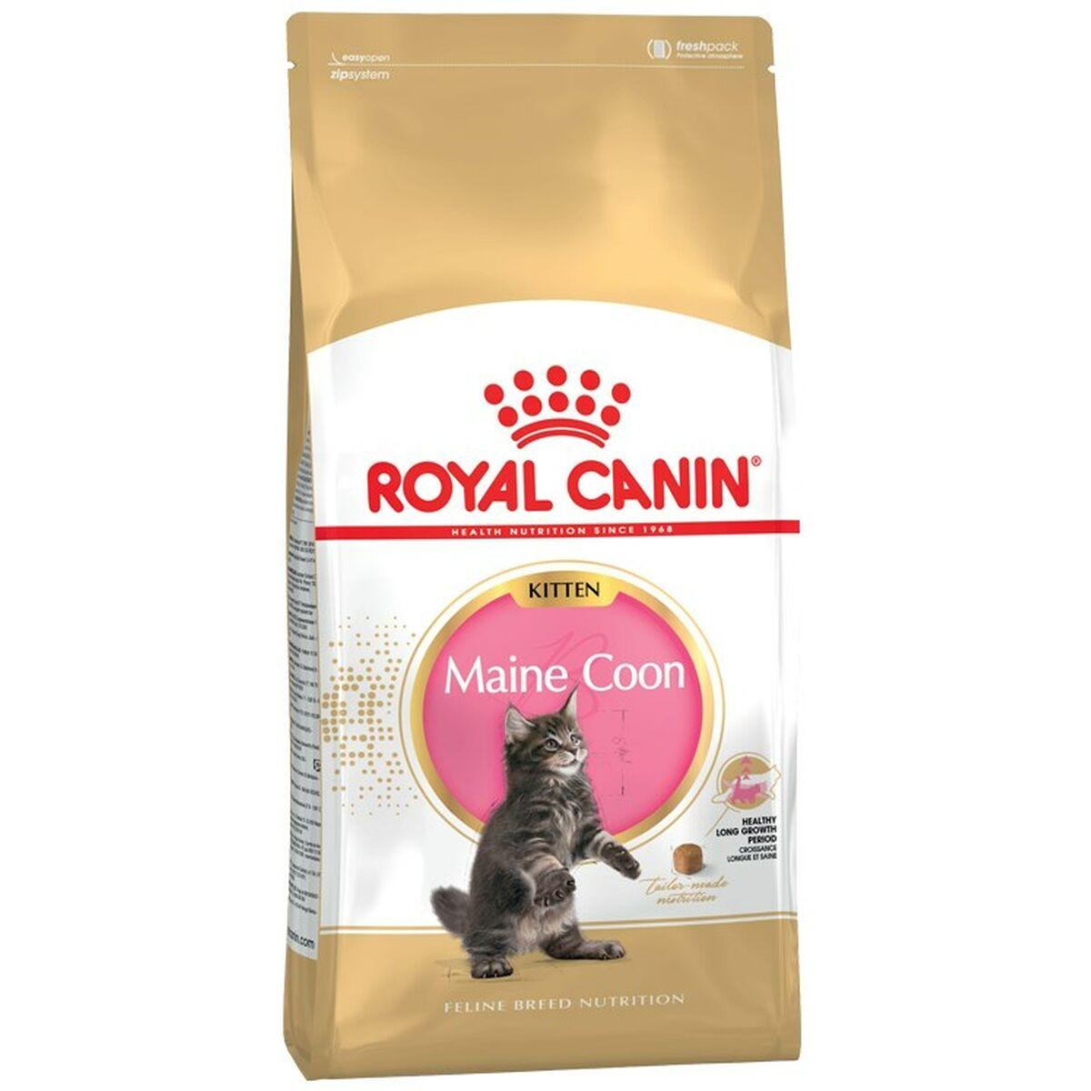 Comida para gato Royal Canin Maine Coon Kitten Pollo Arroz Aves 2 Kg