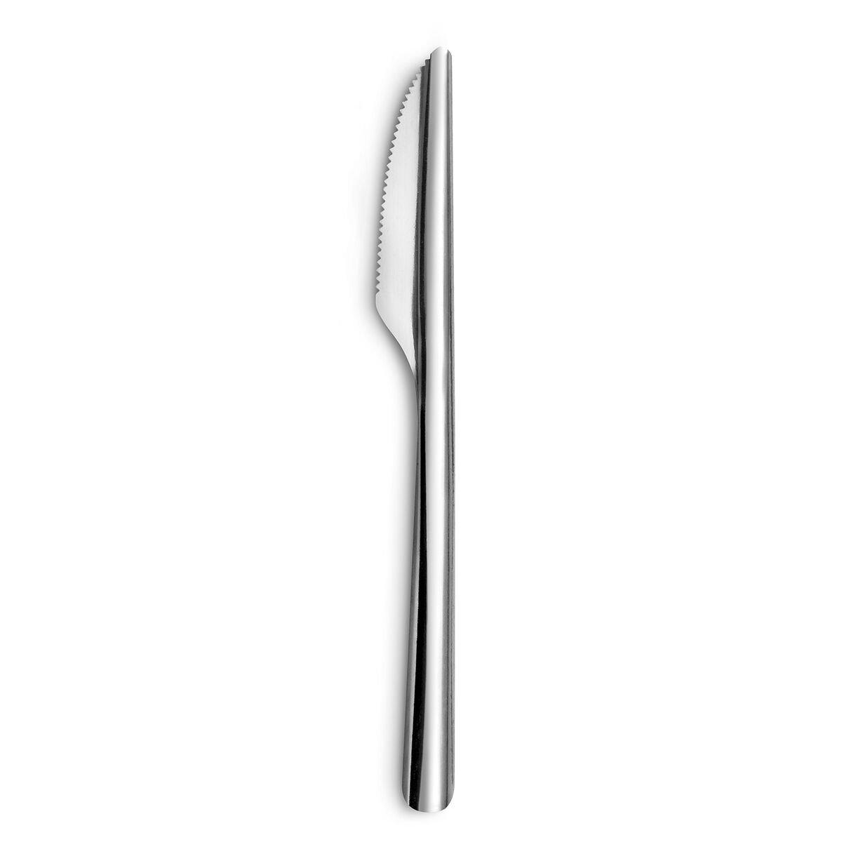 Set de Cuchillos Amefa Ecologic Slim Metal Acero (12 Unidades)