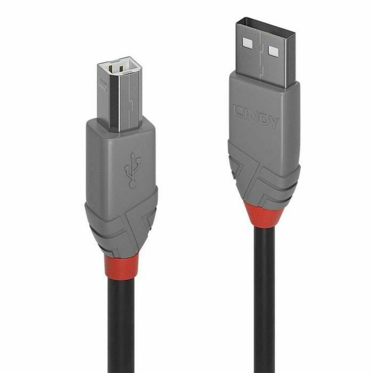 Cable USB A a USB B LINDY Gris 3 m
