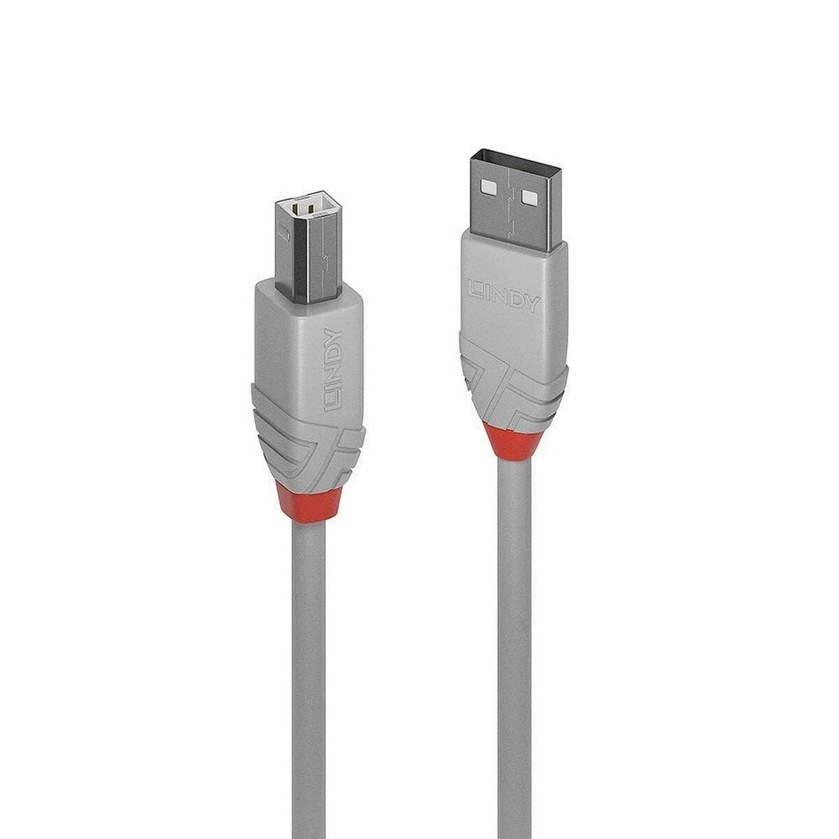 Cable Micro USB LINDY Gris
