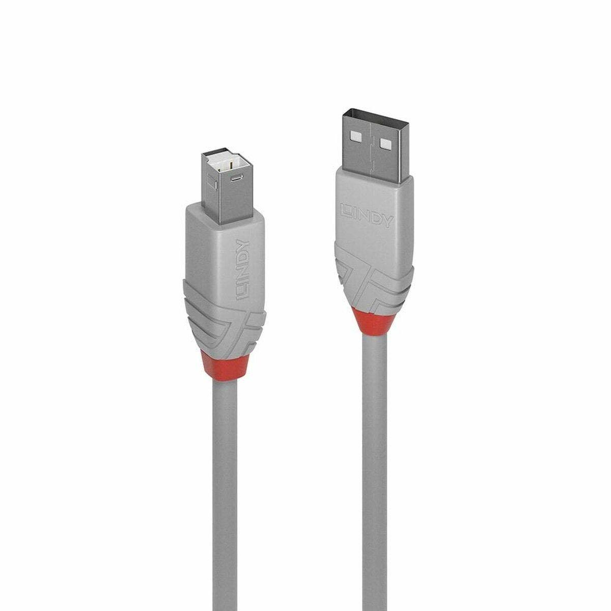 Cable Micro USB LINDY Gris