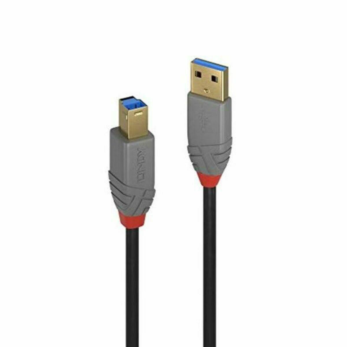 Cable USB LINDY Gris 5 m