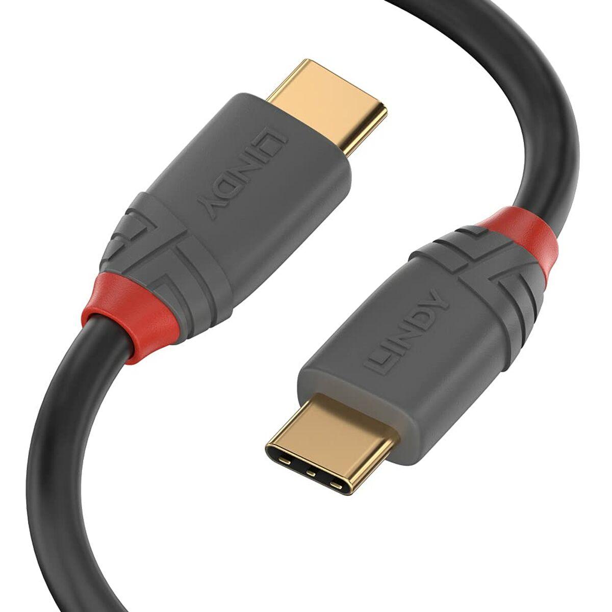 Cable USB-C LINDY Gris 2 m