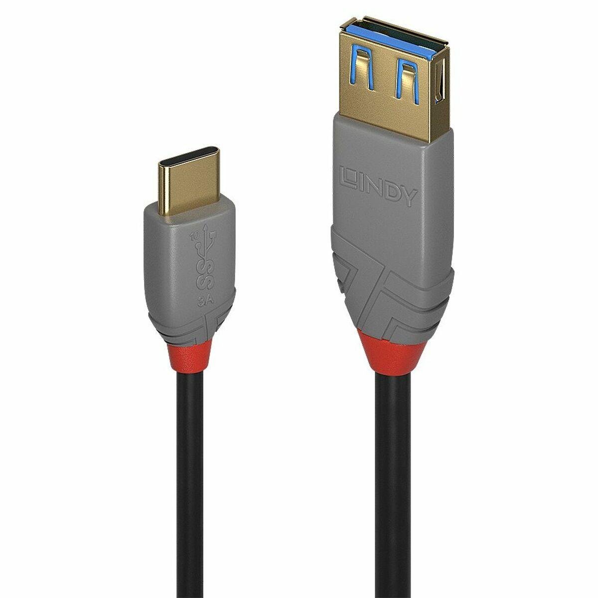 Adaptador USB-C a DisplayPort LINDY Negro 150 cm