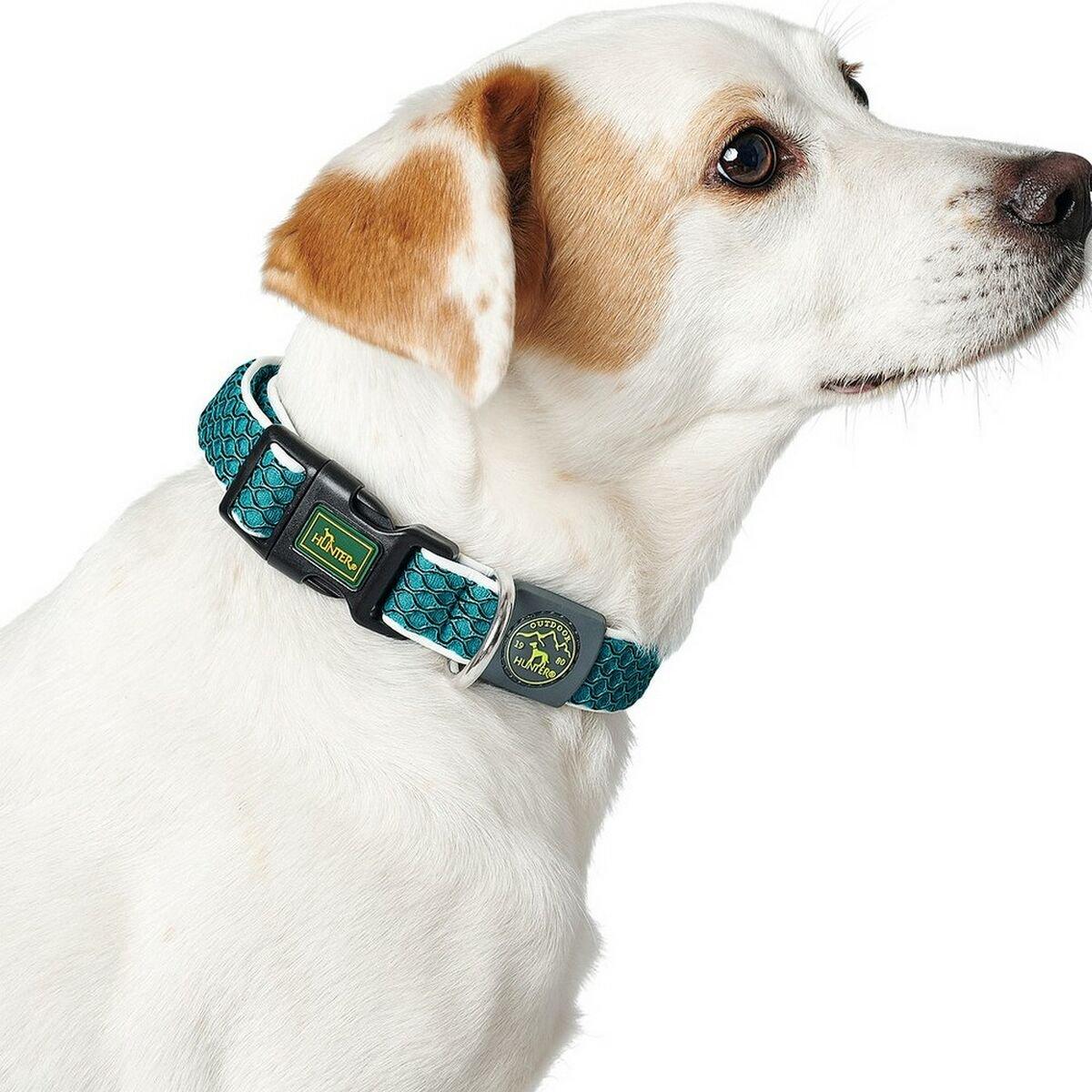 Collar para Perro Hunter Basic Marrón M 33-50 cm Hilo