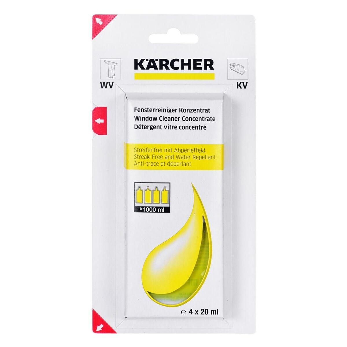 Limpiacristales Kärcher RM 503 6.295-302