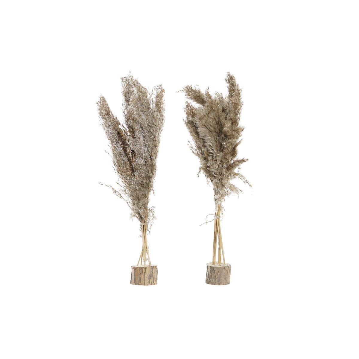 Planta Decorativa DKD Home Decor PVC Plumas Natural 35 x 25 x 55 cm (2 Unidades)
