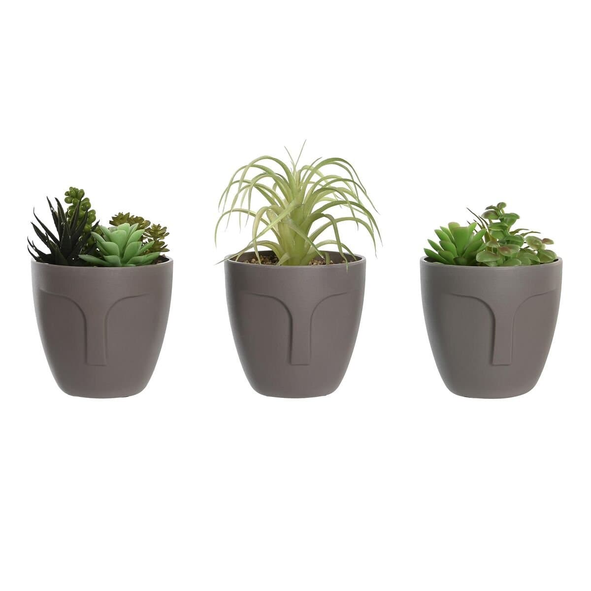 Planta Decorativa DKD Home Decor Gris Beige Polietileno Verde Polipropileno (11 x 11 x 15 cm) (3 Unidades)
