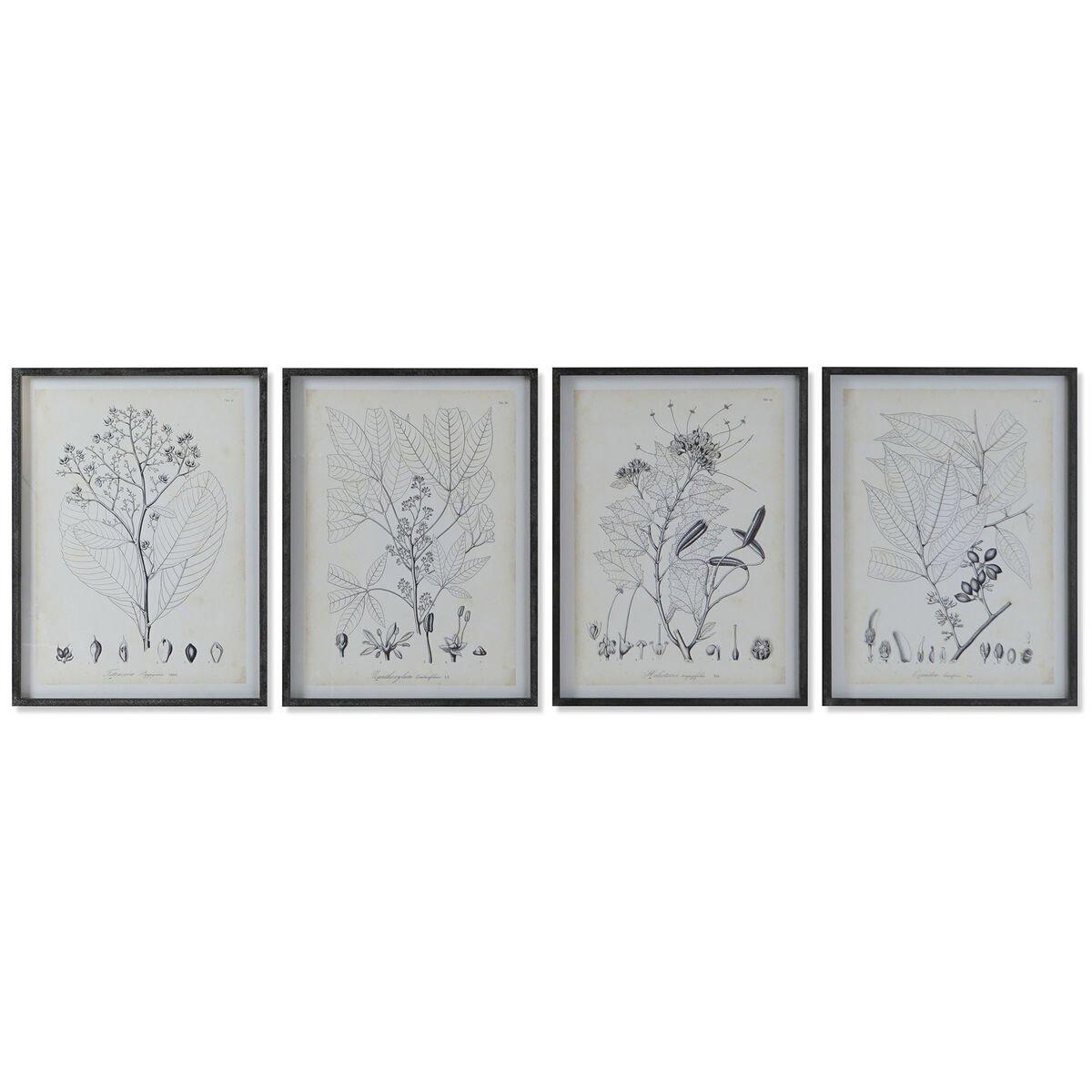 Cuadro DKD Home Decor Moderno Plantas botánicas 45 x 2,5 x 60 cm (4 Unidades)