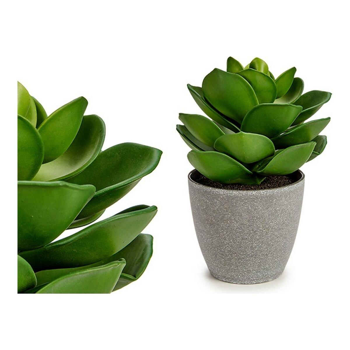 Planta Decorativa Ibergarden Plástico 16 x 21 x 16 cm Gris