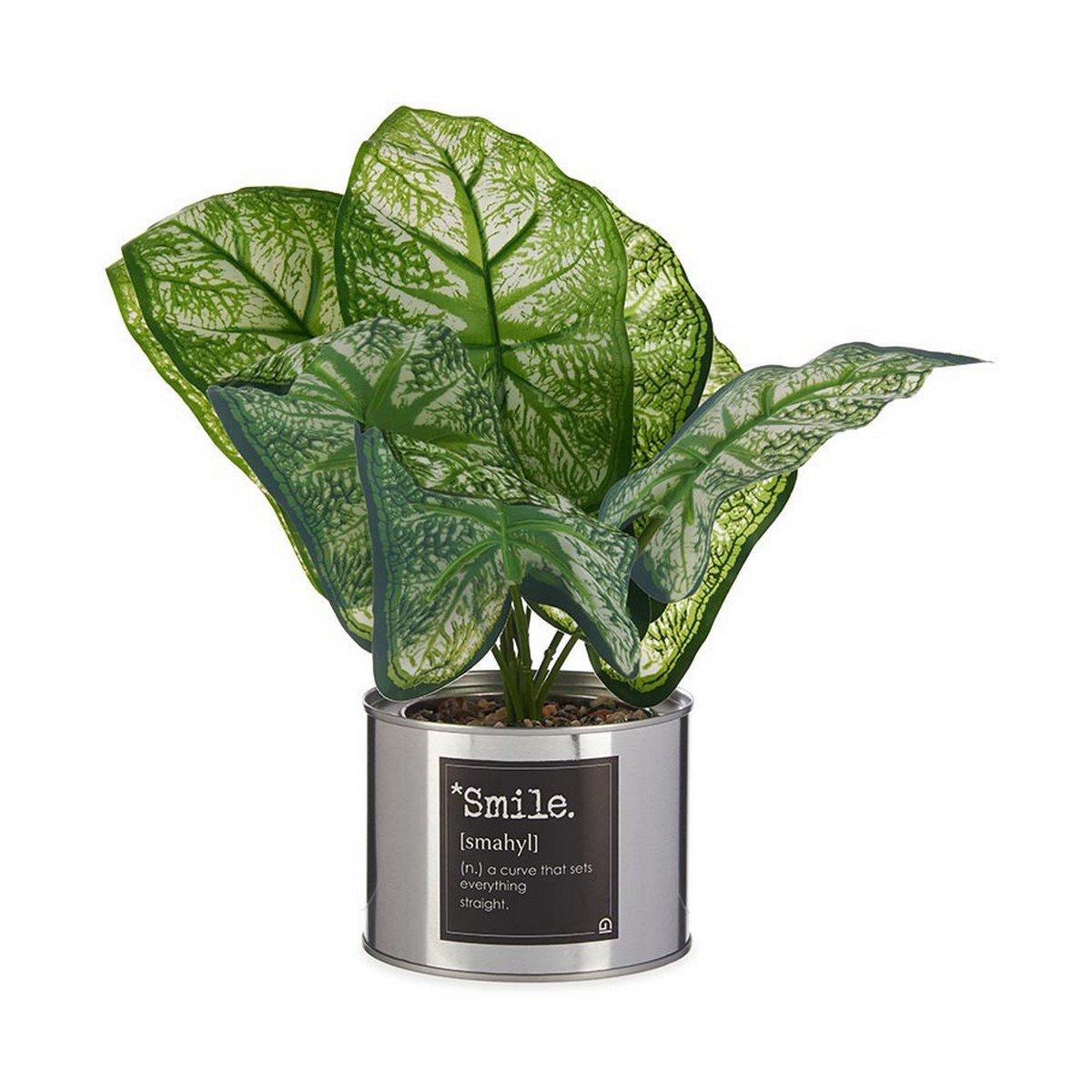 Planta Decorativa Ibergarden Smile Metal Plástico Lata 26 x 26 x 26 cm Plateado