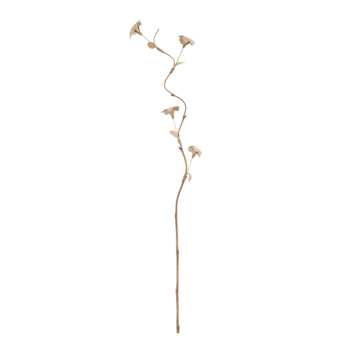 Rama Beige Bambú Fibra natural Flor 27 x 27 x 170 cm