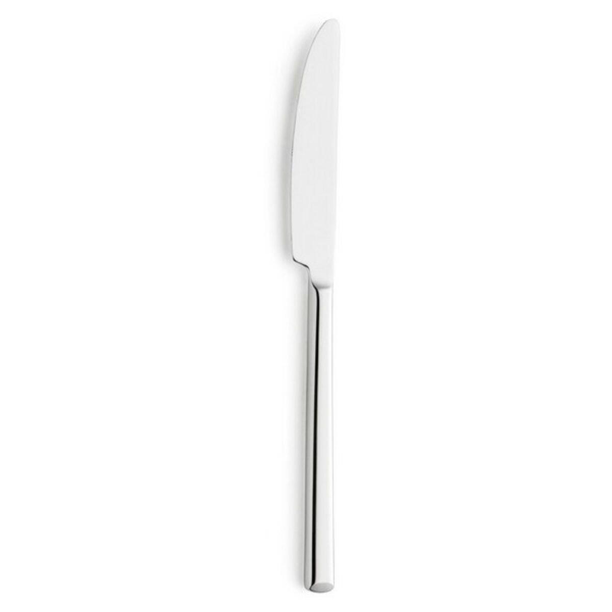 Set de Cuchillos de Postre Amefa Metropole Metal 20,5 cm (12 Unidades)