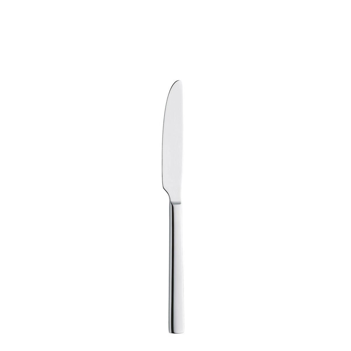 Set de Cuchillos de Postre Amefa Martin Acero Metal (12 Unidades)