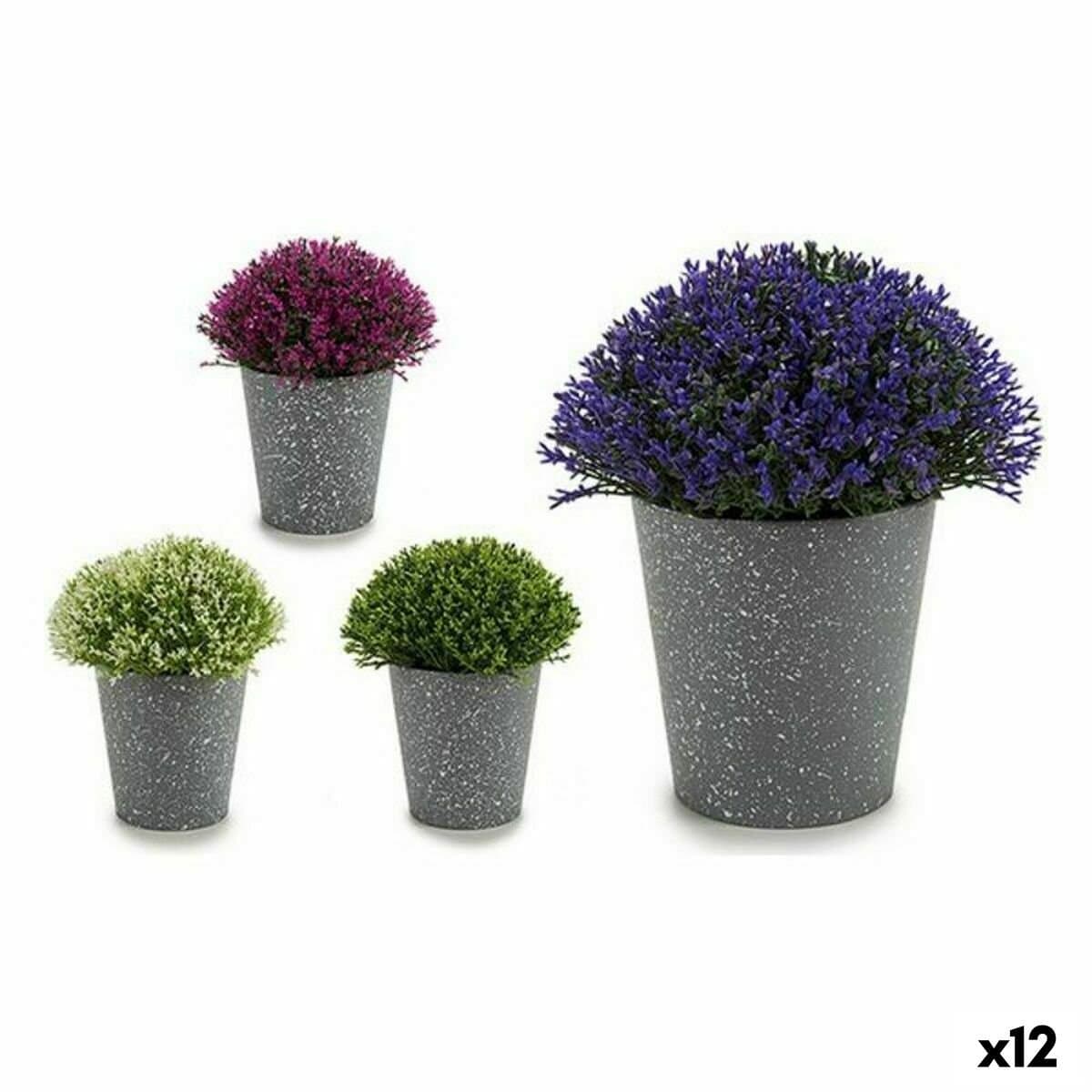 Planta Decorativa Ibergarden Plástico 14 x 15 x 14 cm 14 x 16 x 14 cm (12 Unidades)
