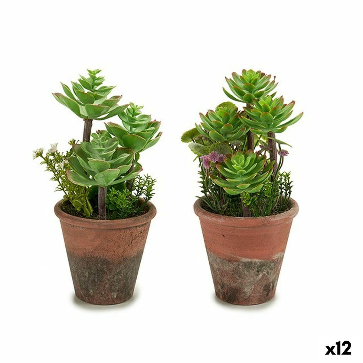 Planta Decorativa Ibergarden Plástico Suculenta 16 x 23 x 16 cm (12 Unidades)