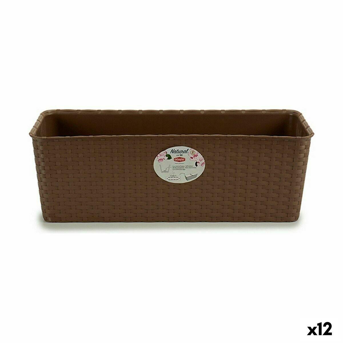 Jardinera Stefanplast Marrón Plástico 18 x 16 x 48,5 cm 49 x 16 x 18 cm (12 Unidades)