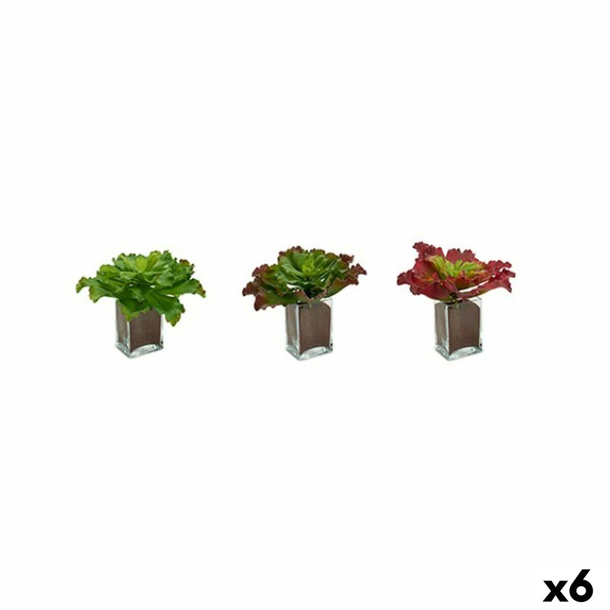 Planta Decorativa Ibergarden Plástico Hojas Grande 31 x 24 x 31 cm Bicolor (6 Unidades)